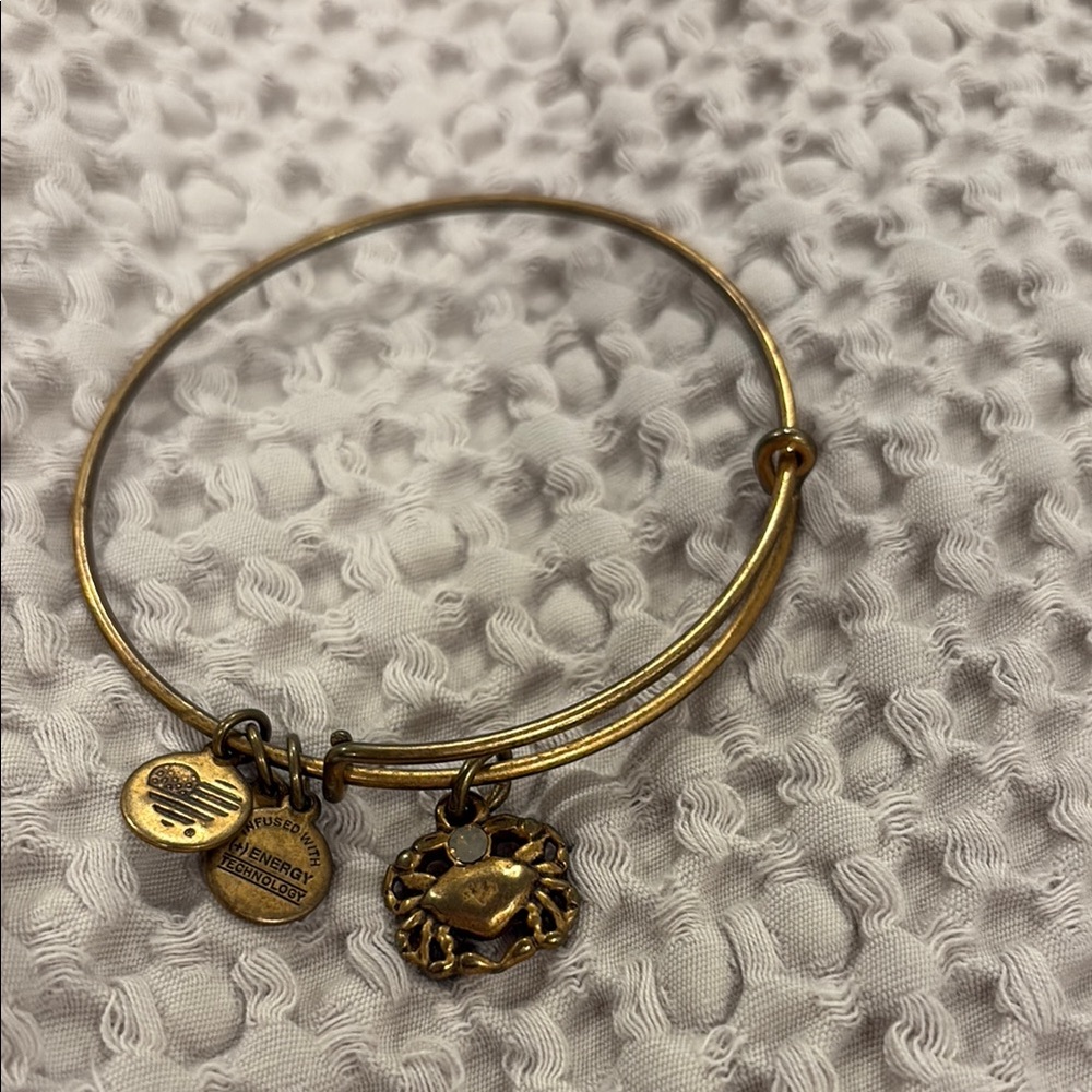 Alex and Ani Gold crab Charm Bracelet